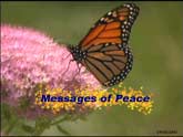 Messages of Peace Video